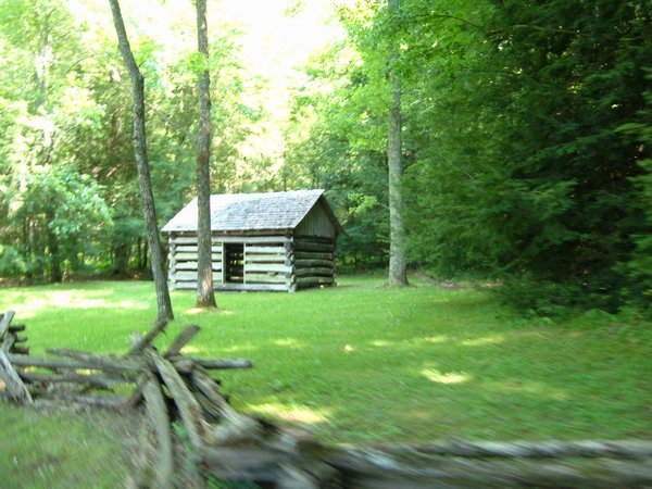 n_hoot_day6_0008.jpg