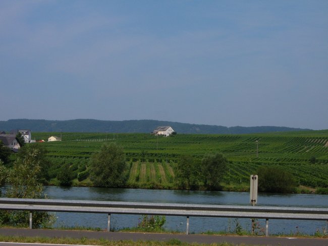 mosel_0005.jpg