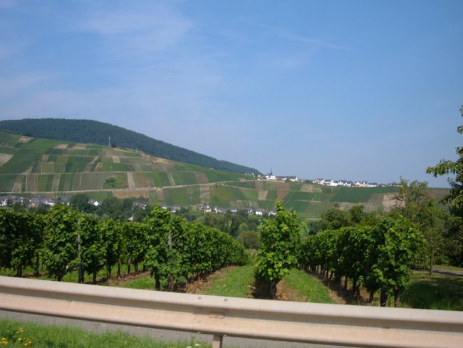 mosel_0009.jpg