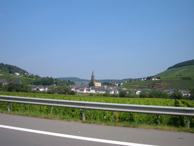 mosel_0012.jpg