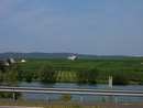 mosel_0005.jpg