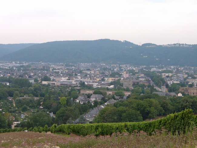 trier_0013.jpg