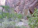 zion_np0010.jpg