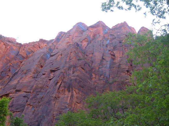 zion_np0008.jpg