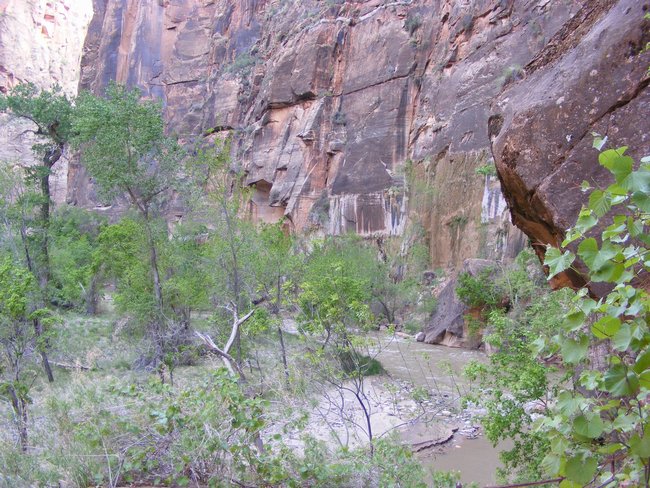 zion_np0010.jpg