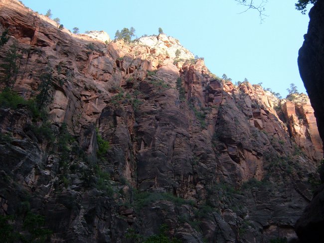 zion_np0015.jpg