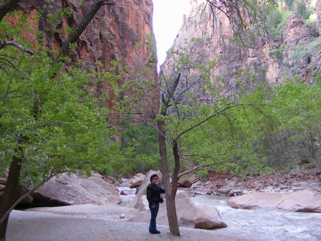 zion_np0017.jpg