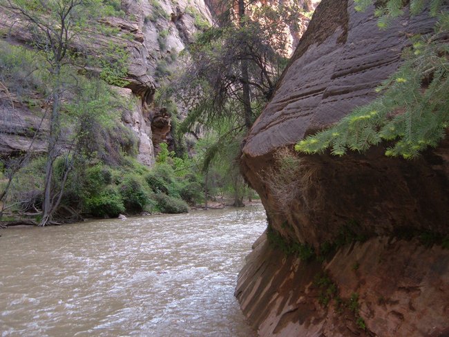 zion_np0018.jpg