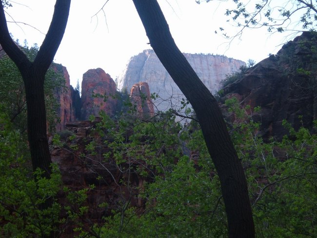 zion_np0022.jpg