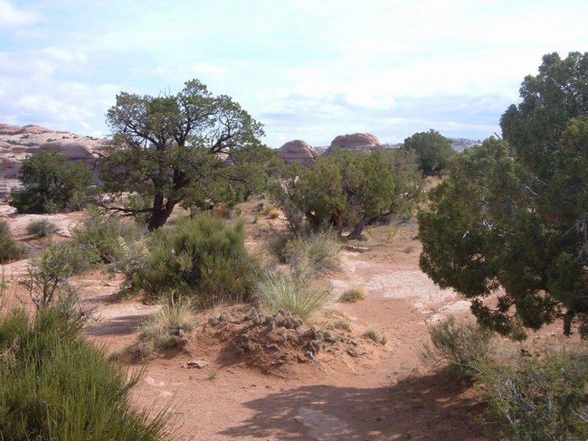 canyonlands0003.jpg