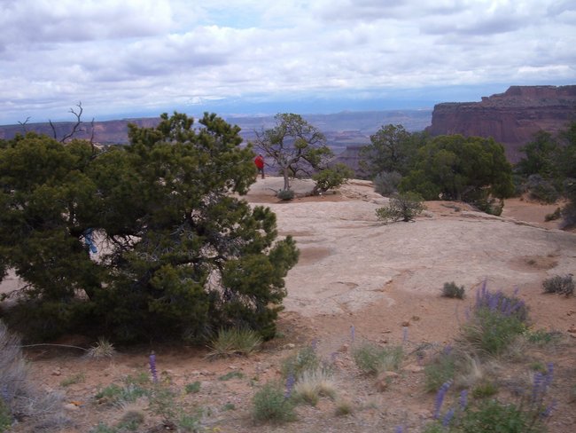 canyonlands0026.jpg