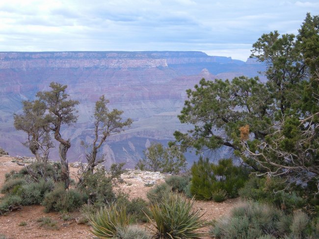 grand_canyon0012.jpg