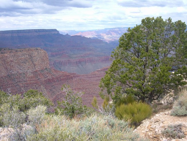 grand_canyon0033.jpg