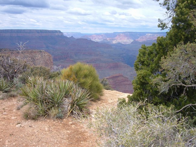 grand_canyon0038.jpg