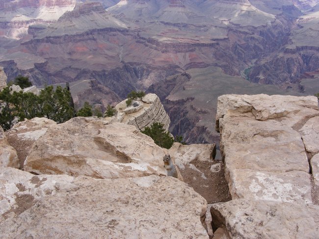 grand_canyon0055.jpg