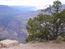 grand_canyon0023.jpg