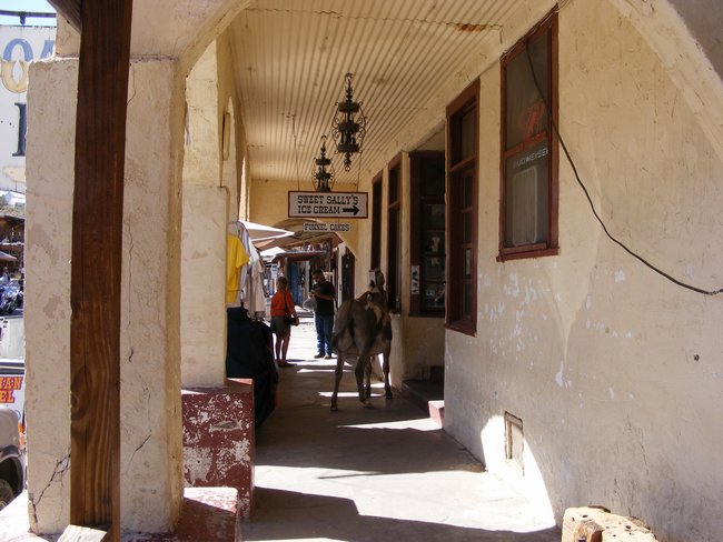 oatman0009.jpg