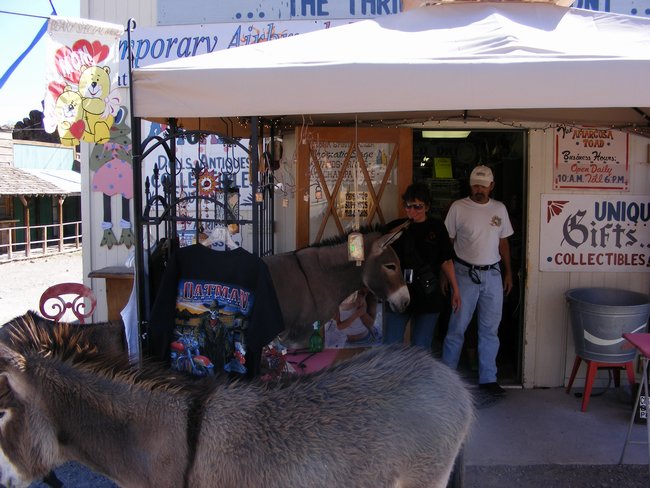 oatman0015.jpg