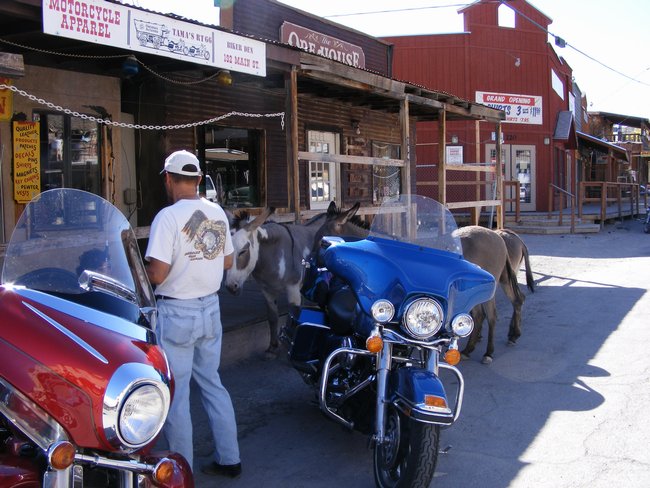 oatman0017.jpg