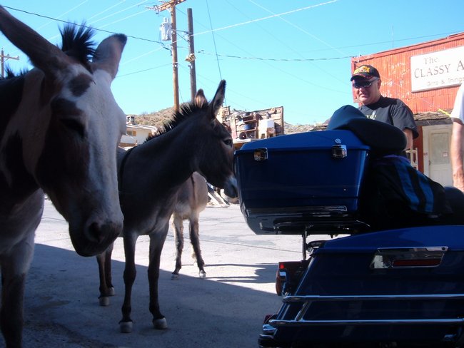 oatman0018.jpg